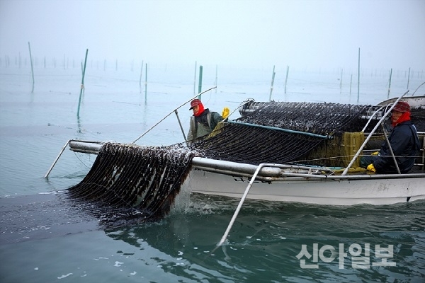 (사진=해남군)