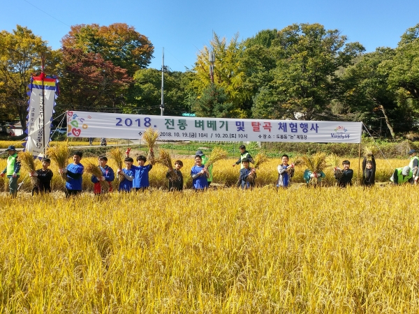 서울시 도봉구가 오는 10월20일과 21일 10시 무수골 친환경 논에서 전통 벼 베기와 탈곡, 인절미 떡 만들기 등을 체험하고 우리 쌀의 소중함을 알리는 '무수골 추수한마당 행사'를 연다고 27일 밝혔다. (사진=도봉구)