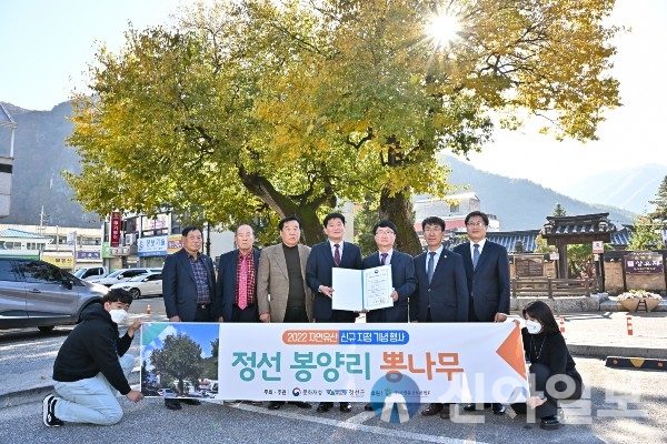 강원 정선군은 20일 정선문화예술회관에서 천연기념물 ‘정선 봉양리 뽕나무’의 신규 문화재 지정에 따른 기념행사를 개최했다. (사진=정선군)