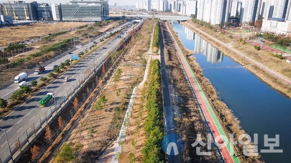 인천 서구는 미세먼지, 분진을 차단하는 축구장 7개 크기의 미세먼지 차단 숲 조성을 마무리하고 준공식을 개최했다.(사진=서구)