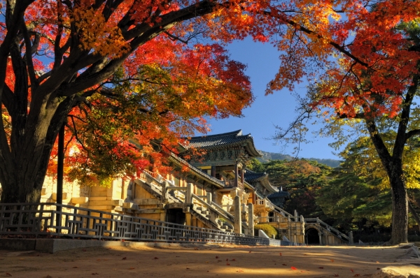 불국사의 가을(사진=경주시)