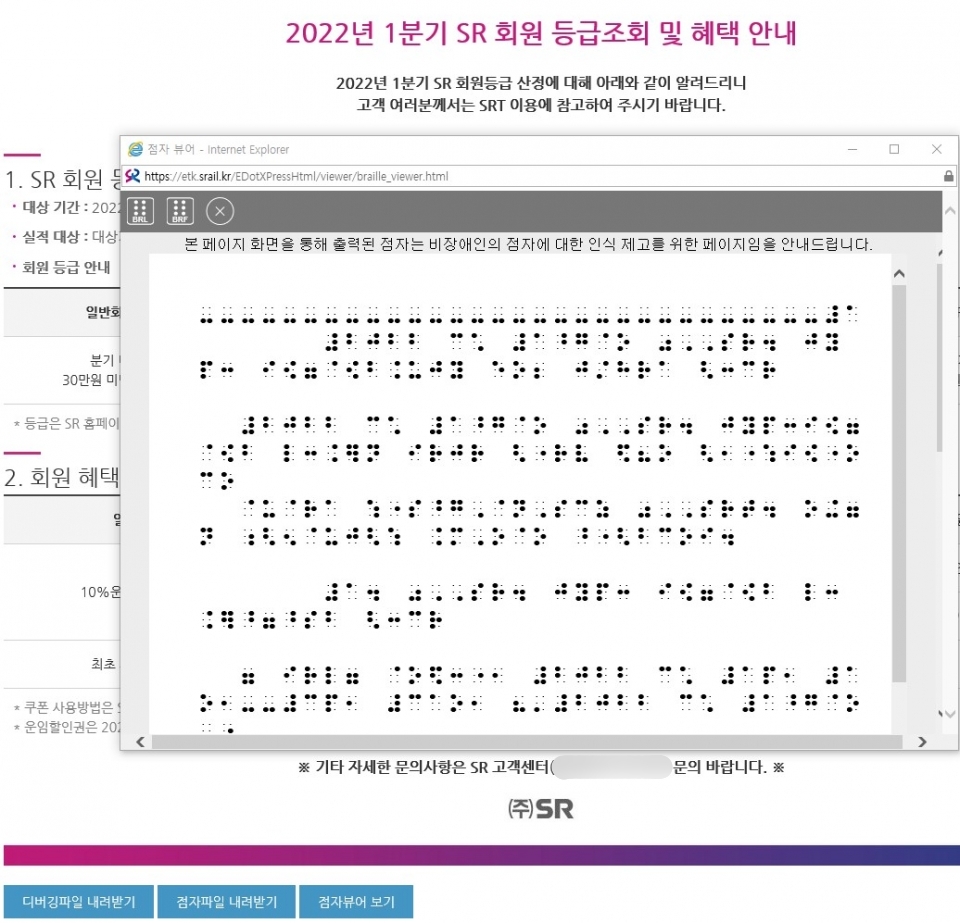 홈페이지 전자점자 변환 서비스. (자료=SR)