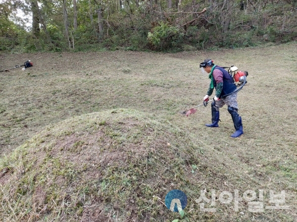 지난해 벌초대행 추진단이 지역의 어느 한 묘지에서 벌초대행서비스를 제공하고 있다.(사진=경주시)