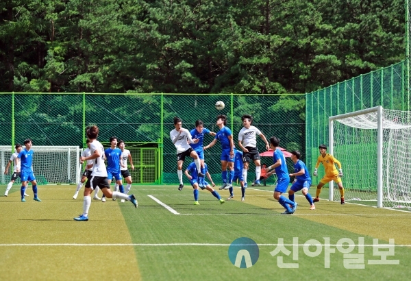 축구대회 (사진=태백시)