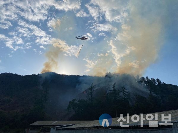 (사진=조덕경 기자) 홍천군(군수 신영재)은 약초, 버섯 등 본격적인 가을철 임산물 수확기를 맞아 무분별한 임산물 굴, 채취가 예상됨에 따라 10월 31일까지 “가을철 산림 내 불법행위 집중단속”에 나선다