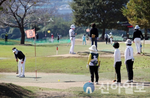 사진 밀양시(14일 열린 읍면동 대항 파크골프대회에 참여한 선수들이 열띤 경쟁을 펼치고 있다.)