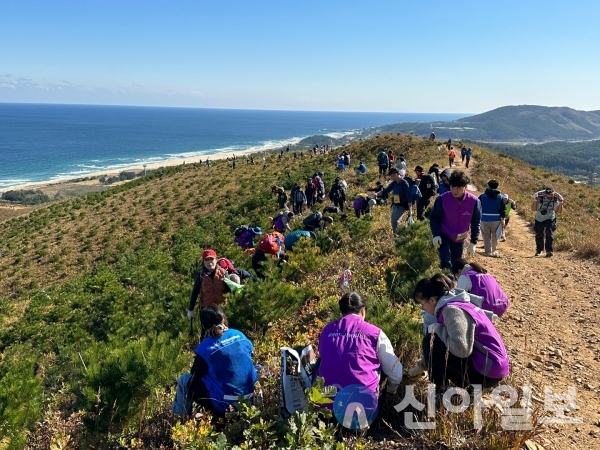 강원랜드-한국관광공사, 12일 동해시 망상해수욕장 일대에서 ‘세이브 더 마운틴 퍼티라이깅 동해’ 행사 개최 (사진=강원랜드 제공)