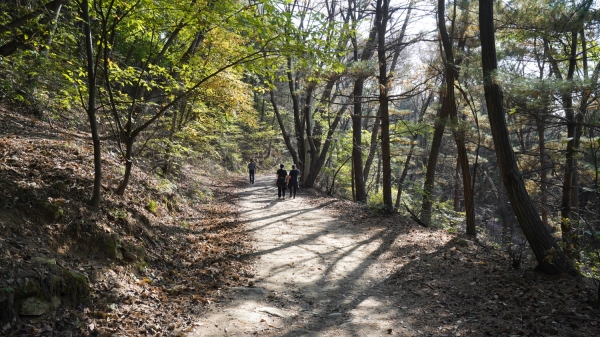 오색둘레길 3코스 독산숲길(사진=오산시)