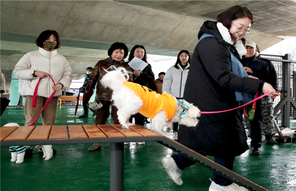 성동구 송정동 반려견 놀이터에서 반려견과 즐겁게 활동하고 있는 주민의 모습. [사진=성동구]