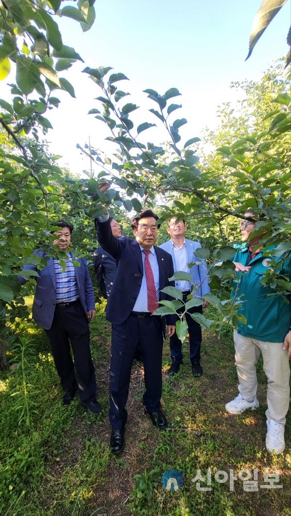 사진 박상웅 국회의원실(4일 박상웅 국회의원이 밀양시 산내면 얼음골사과