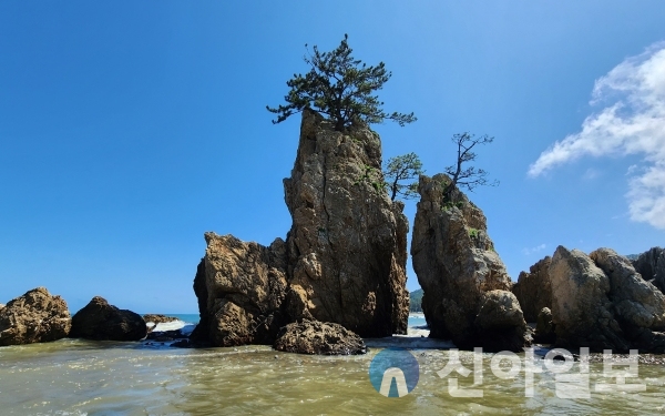 포항 신창 해수욕장