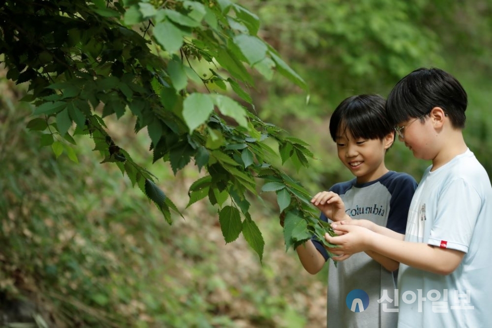 한국산림복지진흥원은 초등학교 저학년의 성장·발달을 위한 다양한 숲교육 프로그램을 제공하고 있다. 사진=한국산림복지진흥원.