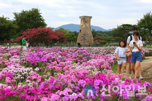 첨성대 꽃단지(사진=경주시)