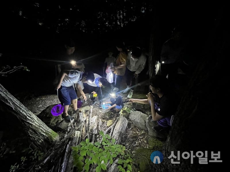 국립칠곡숲체원 ‘칠곡 칠색(色)-까만 숲, 까만 밤, 까만 친구들’ 운영 모습. 사진=한국산림복지진흥원 제공