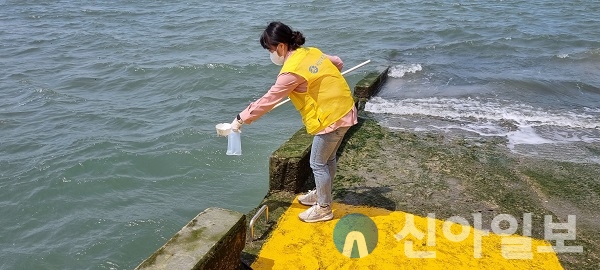 5월 벌천포항에서 진행된 비브리오패혈증 유행예측조사 검체 채취 모습.(사진=서산시)