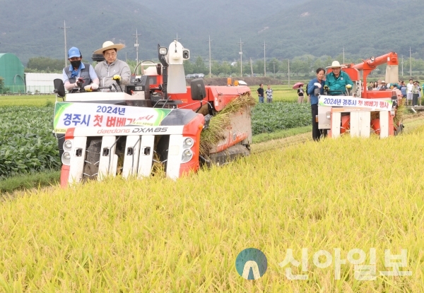 주낙영 시장이 27일 남산동 일원에서 첫 벼베기 행사에 참여하고 있다.(사진=경주시)