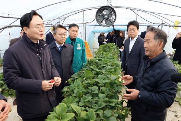 윤병태 시장이 지난 3월 8일 남평읍 세지면 지역 딸기·멜론 재배 농가를 방문해 일조량 부족에 따른 농작물 피해 현황을 점검하고 있다.(사진=나주시)