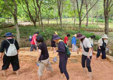 월아산 숲속의 진주 맨발로 숲