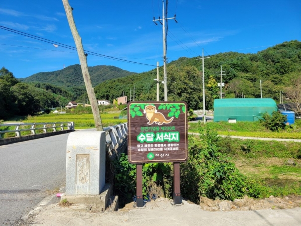 아산시는 온양천 상류에서 발견된 수달 보호를 위해 안내 간판을 설치했다.(사진=아산시)