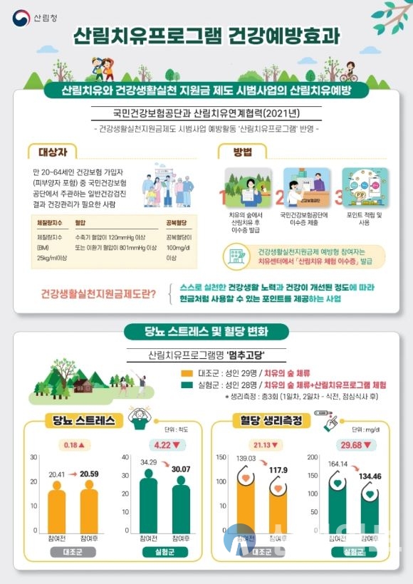 대사증후군 대상 산림치유프로그램 건강예방효과 인포그래픽. 산림청 제공