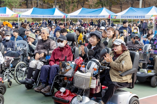 장애인 어울림한마당(사진=서울 강서구청)