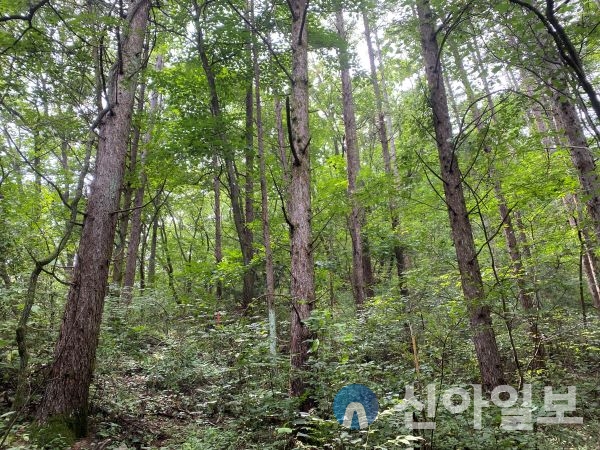 -안전 컨설팅 용역을 통한 개선대책 제시 -