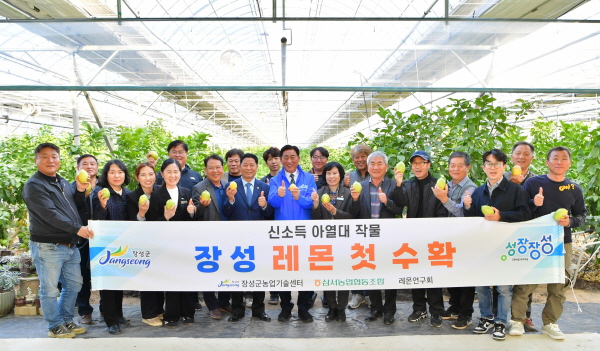 장성군이 12일 장성 레몬 첫 수확 행사를 가졌다.(사진=장성군)