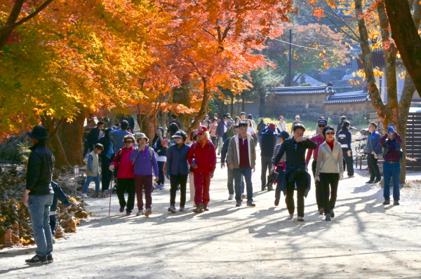 순창 강천산군립공원, 가을 단풍철 방문객 16만 명 돌파