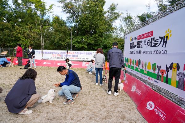 강북구가 지난해 10월 북서울꿈의숲에서 개최한 반려견과 함께하는 명랑운동회 '뛰어놀개'에서 참가 주민들과 반려견들이 게임을 하며 추억을 쌓고 있다 (사진=강북구)