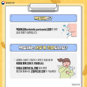 백일해 카드뉴스2/진주시